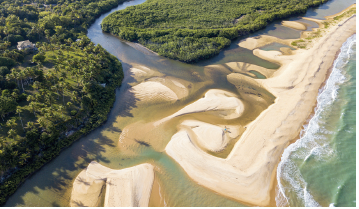 Imagem: Fotografia. Vista do alto de local com areia de cor bege-claro por onde passa fendas de água do rio, à direita, com água com cor verde. À esquerda, densa vegetação com árvores de folhas verdes. Fim da imagem.