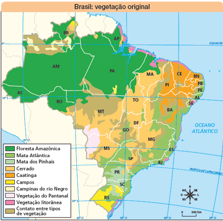 Imagem: Ilustração. Mapa. Brasil: vegetação original.  Rosa dos ventos com sentidos: N, NO, O, SO, S, SE, L, NE. Escala: 0 – 570 km Legenda: Verde-escuro: Floresta Amazônica Verde-claro: Mata atlântica Azul-claro: Mata dos Pinhais Laranja-claro: Cerrado Laranja-escuro: Caatinga Amarelo: Campos Bege-claro: Campinas do rio Nigro Lilás: Vegetação do Pantanal Rosa: Vegetação  Marrom: Contato entre tipos de vegetação.  Roraima: região noroeste com floresta amazônica e à nordeste, campos, cerrado e abaixo, contato entre tipos de vegetação e Campinas do rio Negro. Amazonas: Ao norte, cerrado, contato entre tipos de vegetação e Campinas do rio Negro. A maior parte é composta por Floresta Amazônica. Acre: composta por floresta amazônica.  Rondônia: grande parte composta por floresta amazônica e sudeste com cerrado e contato entre tipos de vegetação.  Pará: Grande parte composta por floresta amazônica, com pequena parte no norte e sul com cerrado e ao sul, pequenas partes com contato entre tipos de vegetação. Ao norte, pequena parte com campos e vegetação litorânea. Amapá: Grande parte composta por floresta amazônica, e a leste, faixas finas com campos e vegetação litorânea.  Maranhão: norte composto por floresta amazônica, parte pequena composta com vegetação litorânea. Mais ao nordeste parte com contato entre tipos de vegetação. Do centro para baixo, composto por cerrado. Tocantins: grande parte composta por cerrado e na parte superior, pequena faixa de floresta amazônica. Mato Grosso: Na parte superior, do centro para cima: contato entre tipos de vegetação. Do centro para baixo, grande parte com cerrado e pouca parte no sudoeste com vegetação do Pantanal. Mato Grosso do Sul: oeste com vegetação do Pantanal, à leste, cerrado e na parte inferior, no sul, mata atlântica. Goiás Distrito Federal: grande parte composta por contato entre tipos de vegetação, pequena parte com mata atlântica e contornando a região e ao norte: cerrado. Piauí: à oeste, pequena parte com cerrado, ao centro: contato entre tipos de vegetação e na ponta oeste, caatinga. Ceará: grande parte composta por caatinga e pequena parte no sul com contato entre tipos de vegetação. Rio grande do norte: grande parte composta por caatinga. Paraíba: grande parte composta por caatinga e ponta leste com mata atlântica. Pernambuco: grande parte composta por caatinga e parte à leste com mata atlântica. Alagoas: à oeste composto por caatinga e à leste composto por mata atlântica.  Sergipe: grande parte composta por vegetação litorânea. Bahia: do centro ao norte, partes com caatinga e contato entre tipos de vegetação. Do centro para baixa: mata atlântica.  Minas Gerais: a noroeste: cerrado à leste em mata atlântica, pequena parte ao centro com contato entre tipos de vegetação e à leste, grande parte composta por mata atlântica.  Espírito Santo: Grande parte composta por mata atlântica e pequena parte composta por vegetação litorânea.  Rio de janeiro: Grande parte composta por mata atlântica e pequena parte composta por vegetação litorânea. São Paulo: à oeste e à leste: mata atlântica, ao centro, penas partes com cerrado e outra parte menor com contato entre tipos de vegetação. Paraná: no norte: mata atlântica e ao centro e grande parte na parte inferior com Mata dos Pinhais. Santa Catarina: à oeste com mata dos Pinhais e na ponta leste: mata atlântica.  Rio grande do sul: grande parte do centro-oeste com campos, pequena parte superior com mata atlântica e pequena parte no norte com mata dos Pinhais.   Fim da imagem.