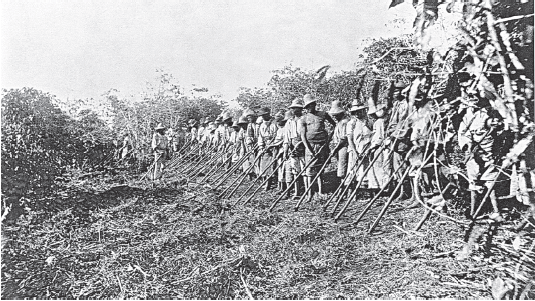 Imagem: Fotografia. À esquerda, vegetação rasteira, com árvores baixas. À direita, homens e com chapéu na cabeça, e mulheres com blusa e saia longa em branco e chapéu sobre a cabeça. Elas seguram nas mãos uma enxada. Em segundo plano, árvores baixas.  Fim da imagem.