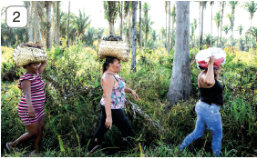 Imagem: Fotografia 2. Três pessoas caminhando para à direita, carregando coisas sobre a cabeça de frente para vegetação de cor verde, com árvores com tronco em cinza e folhas verdes na parte superior. Da esquerda para à direita: uma mulher de pele negra, vestido com listras em branco e roxo, com cesto de cor bege. Ao centro, uma mulher de pele clara, cabelos castanhos, com blusa de alças finas e calça preta com um cesto bege sobre a cabeça. Na ponta da direita, mulher de pele morena, blusa de alcinha em preto e calça jeans azul-claro, com coisas sobre a cabeça Fim da imagem.