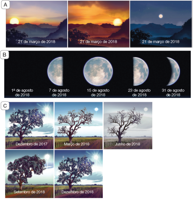 Imagem: Fotografia A.  21 de março de 2018 Vista geral de local com montanhas escuras com neve branca por cima. À esquerda, vista do sol em amarelo, no céu com tons em cinza e parte inferior em laranja. 21 de março de 2018 Vista geral do mesmo local. O céu tem cores alaranja, com sol à direita. 21 de março de 2018 Vista geral do mesmo local. O céu tem cor em azul-escuro, com lua branca, pequena. Fotografia B. 1° de agosto de 2018 Céu completamente preto. 7 de agosto de 2018 Céu preto com lua branca vista parcial. 15 de agosto de 2018 Céu preto com lua redonda branca. 23 de agosto de 2018 Céu preto com vista parcial de lua branca. Parte escura da esquerda e clara da direita.  31 de agosto de 2018 Céu preto com vista parcial e fina de lua branca. Parte escura da esquerda e clara da direita.  Fotografia C. Dezembro de 2017 Vista geral de local com solo com vegetação em verde, árvore com tronco marrom, folhas verdes. No alto, céu em azul, com nuvens brancas e sol brilhante à direita. Março de 2018 Vista geral do mesmo local descrito anteriormente. A vegetação rasteira é de cor verde-claro, com céu em azul e parte em branco, com sol claro, com poucos raios. Junho de 2018 Vista geral do mesmo local descrito anteriormente. A vegetação tem verde mais clara, árvore com galhos finos, secos, sem folhas. No alto, céu cinza e sol com luz branca sem ser incandescente.  Setembro de 2018 Vista geral do mesmo local descrito anteriormente. Vegetação verde-claro, solo marrom, árvore com muitas folhas na copa. O céu em azul e branco e sol com raios solares. Dezembro de 2018 Vista geral do mesmo local descrito anteriormente. Vegetação verde, solo marrom e árvore com menos folhas. No alto, céu azul e nuvens cinzas, com sol incandescente com raios solares.  Fim da imagem.