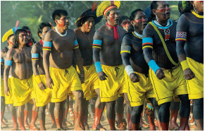 Imagem: Fotografia. Dezenas de homem indígenas, um atrás do outro. Eles têm pele morena, cabelos escuros, com braceletes azuis, colares no pescoço e pinturas pretas no corpo e vermelhas no rosto, com bermuda em amarelo. Um Ao centro, sobre a cabeça, coroa de penas em amarelo. Em segundo plano, vegetação verde.  Fim da imagem.