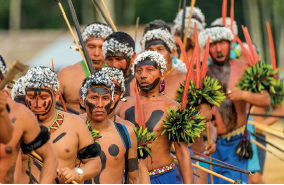 Imagem: Fotografia. Dezenas de homens morenos visto da cintura para cima. Eles têm pinturas pretas no rosto, com partes em braço na cabeça, nos braços plantas de cor verde, com bermuda de cor azul.  Fim da imagem.