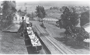 Imagem: Fotografia em preto e branco. À esquerda, vagões de trem com sacos brancos dentro e trilhos à direta. Nas extremidades, local com vegetação rasteira, árvores e alguns estabelecimentos de paredes brancas e telhados triangulares. Na parte da frente do trem, fumaça indo para o céu. Fim da imagem.