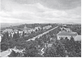 Imagem: Fotografia em preto e branco. Vista do alto de local com rua ao centro, muitas árvores e entra elas, casarões antigos de dois andares e paredes claras. No alto, céu com muitas nuvens.  Fim da imagem.