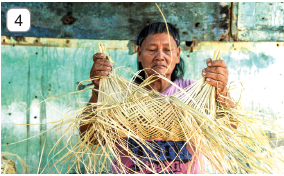 Imagem: Fotografia 4. Uma pessoa de pele morena com cabelos pretos, com franja, e blusa de cor rosa e ilustração em azul, com as mãos sobre palhas de cor bege-claro, olhando para baixo. Mais ao fundo, parede de cor verde-claro com partes em branco.  Fim da imagem.