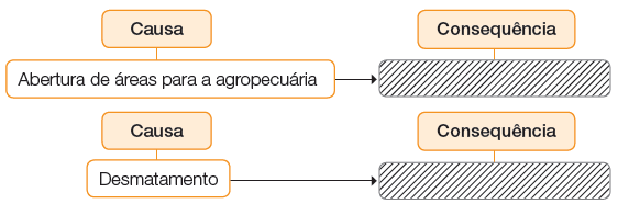 Imagem: Esquema.  Causa: Abertura de áreas para a agropecuária. Consequência: _____. Causa: Desmatamento. Consequência: _____. Fim da imagem.