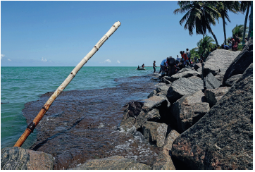 Imagem: Fotografia. À esquerda o mar, com uma vara de madeira na diagonal, com pedras e rochas cinza à direita. Entre as pedras e o mar de água azul, uma mancha de cor preta, contornando. Em segundo plano, homens em pé e ao fundo, duas pessoas sobre embarcação pequena. Mais à direita, árvores com folhas verdes e no alto, céu em azul-claro com poucas nuvens.  Fim da imagem.