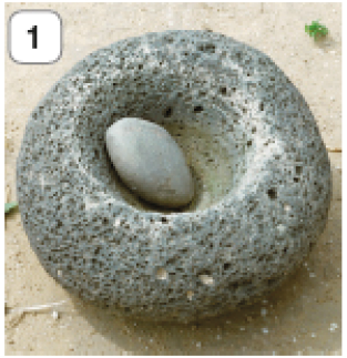 Imagem: Fotografia 1. Um moedor redondo de cor cinza, com uma pedra cinza arredondada dentro, sobre solo de cor bege. Fim da imagem.