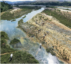 Imagem: Fotografia. Vista do alto de local com rio em local com vegetação e solo arenoso de cor cinza. À esquerda, dois animais brancos, quadrúpedes. À esquerda e ao fundo à direita, vegetação verde. Em segundo plano, árvores de folhas em verde-escuro e morros.  Fim da imagem.