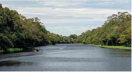 Imagem: Fotografia. Vista geral de local com um rio ao centro com água escura. À esquerda e à direita, vegetação densa e árvores de folhas verdes. À esquerda, pessoa sobre canoa fina com pessoa sentada. No alto, azul-claro com nuvens brancas esparsas.  Fim da imagem.