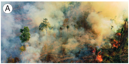 Imagem: Fotografia A. Vista aérea de uma floresta com fogo e muita fumaça escura em volta.  Fim da imagem.