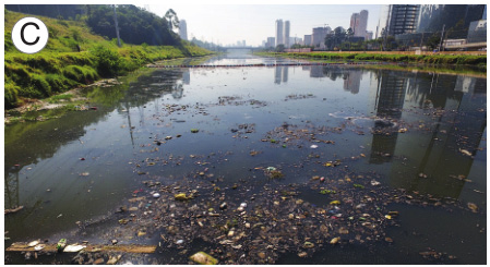 Imagem: Fotografia C. Um rio com muito lixo na água escura. Ao fundo, prédios e árvores. Fim da imagem.