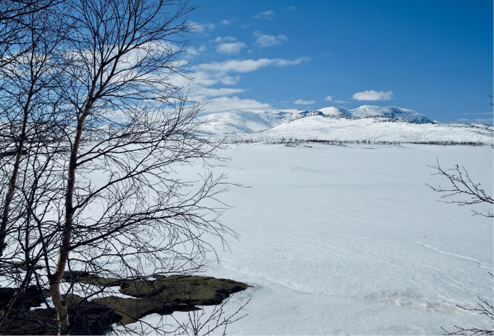 Imagem: Fotografia. Um terreno plano com muita neve. Em volta há árvores secas e ao fundo, morros cobertos de neve.  Fim da imagem.