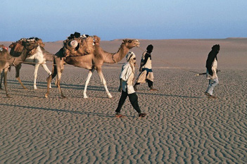 Imagem: Fotografia. Três pessoas com panos em volta da cabeça e roupa branca e preta estão andando em um terreno plano com muita areia. Atrás delas há três camelos com objetos pendurados nas costas. Fim da imagem.