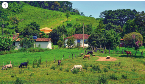 Imagem: Fotografia 1. Animais em um pasto. Atrás deles há duas casas pequenas com árvores em volta. Ao fundo, um morro e mais árvores.  Fim da imagem.