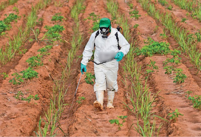 Imagem: Fotografia. Uma pessoa com boné e luvas verdes, macacão e botas brancas e máscara de proteção está com uma mochila nas costas, segurando um cano conectado a mochila e jorrando um líquido sobre uma plantação. Fim da imagem.