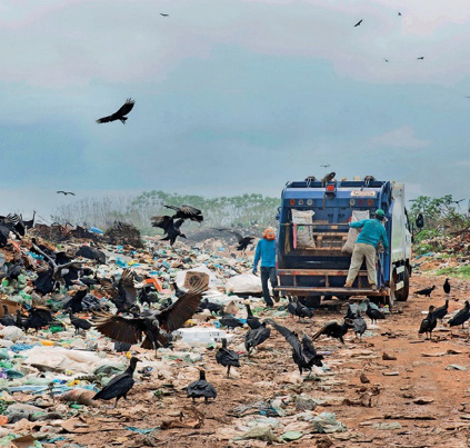 Imagem: Fotografia. Vários urubus pretos sobre uma pilha de lixo. No centro há dois homens na parte de trás de um caminhão de lixo. Fim da imagem.