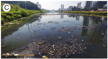 Imagem: Fotografia C. Um rio com muito lixo na água escura. Ao fundo, prédios e árvores. Fim da imagem.