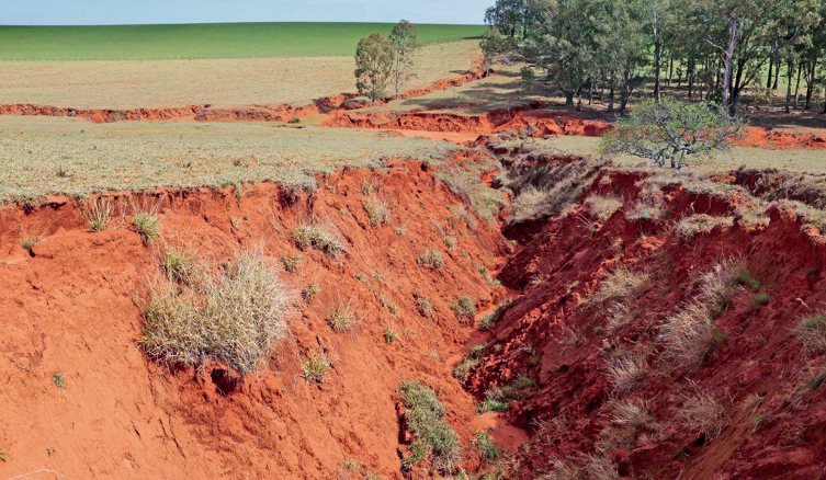 Imagem: Fotografia. No centro há um buraco em um terreno plano e verde. Ao fundo, árvores. Fim da imagem.