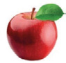 Imagem: Fotografia. Uma maçã vermelha.  Fim da imagem.
