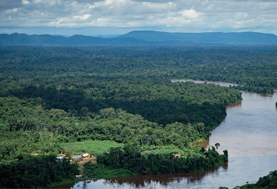 Imagem: Fotografia. Vista aérea de uma floresta ao lado de um rio.  Fim da imagem.