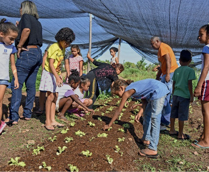 Imagem: Fotografia. Criança estão com as mãos sobre plantas em uma horta. Em volta, pessoas observam e sobre elas há uma tenda. Fim da imagem.