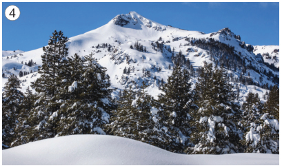 Imagem: Fotografia 4. Uma montanha coberta de neve e em volta há árvores.  Fim da imagem.