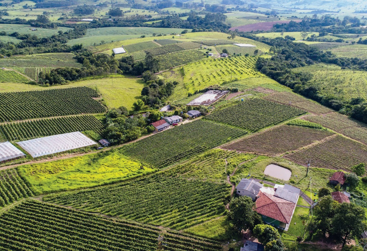 Imagem: Fotografia. Vista aérea de um terreno montanhoso com várias plantações espalhadas. Entre elas há poucas casas. Ao fundo, morros e árvores. Fim da imagem.