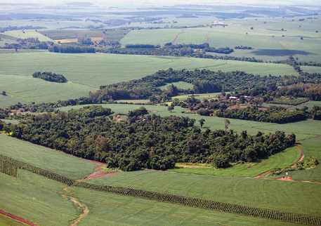 Imagem: Fotografia. Vista aérea de várias árvores aglomeradas sobre um terreno plano e verde. Ao fundo, morros e árvores.  Fim da imagem.