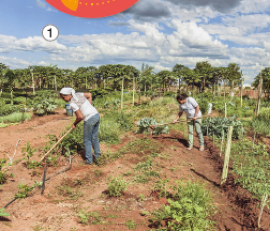 Imagem: Fotografia 1. Duas pessoas estão segurando enxadas sobre uma plantação. Fim da imagem.