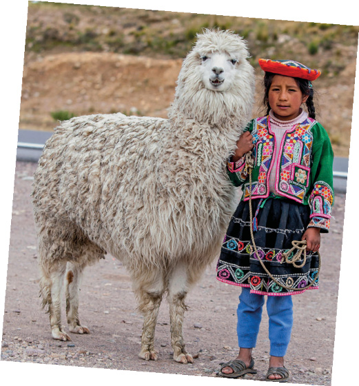 Imagem: Fotografia. Uma menina com chapéu vermelho, tranças, casaco e saia coloridos, calça azul e sapatos marrons está ao lado de uma lhama com pelo branco. Fim da imagem.