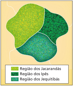 Imagem: Ilustração. Vista de cima de um parque dividido em três partes: Região dos Jacarandás (grande e verde-claro); Região dos Ipês (pequena e verde-escuro) e Região dos Jequitibás (médio e verde). Fim da imagem.