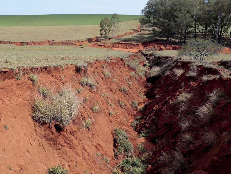 Imagem: Fotografia. Um buraco extenso sobre terreno plano e verde. Ao fundo, árvores. Fim da imagem.