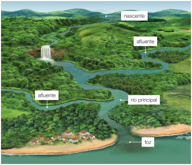 Imagem: Ilustração. Ao fundo, um rio entre morros (nascente). O rio segue entre árvores e deságua em uma cachoeira. Em seguida, três rios sinuosos (afluente) se encontram no rio principal e deságuam no mar (foz). Na margem do mar há casas e árvores. Fim da imagem.