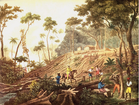 Imagem: Pintura. Homens negros estão cortando troncos de árvores. Entre eles, um homem branco está montado em um cavalo e observando. Ao lado, homens negros carregam troncos de árvores. Em volta há árvores cortadas e plantas. Fim da imagem.