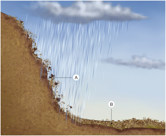 Imagem: Ilustração. À esquerda, uma nuvem cinza e chuva caindo sobre um morro marrom (A). Abaixo, grãos do morro caem sobre um terreno. Em seguida, um terreno plano com terra marrom (B).  Fim da imagem.