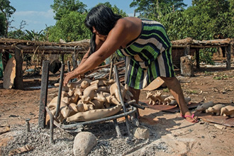 Imagem: Fotografia. Uma mulher indígena com cabelo preto e comprido e vestido listrado está colocando peças de cerâmica sobre um suporte. Ao fundo, construções de madeira e árvores.  Fim da imagem.