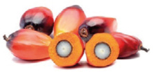 Imagem: Fotografia. Frutos com formato oval e em tons de vermelho. No centro, um deles está cortado ao meio com uma semente branca dentro. Fim da imagem.