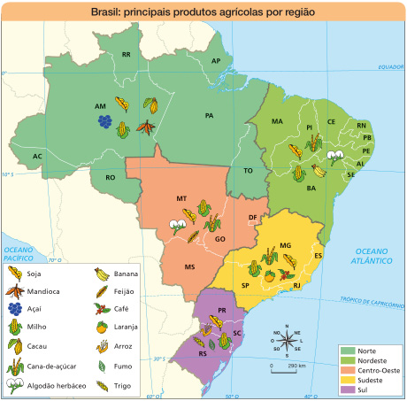 Imagem: Mapa. Brasil: principais produtos agrícolas por região.  Norte: açaí, milho, soja, cacau e mandioca.  Nordeste: soja, cana-de-açúcar, algodão herbáceo, banana e milho.  Centro-Oeste: algodão herbáceo, soja, milho, cana-de-açúcar e feijão.  Sudeste: milho, cana-de-açúcar, soja, café e laranja.  Sul: soja, milho, fumo, trigo e arroz. No canto inferior direito, a rosa dos ventos (N, NE, L, SE, S, SO, O, NO) e a escala de 0 a 290 km.  Fim da imagem.