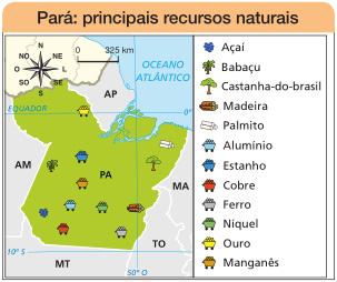 Imagem: Mapa. Pará: principais recursos naturais. Mapa com destaque para o Pará e seus recursos: Ouro, Estanho, Manganês, Alumínio, Cobre, Níquel, Ferro, Babaçu, Açaí, Palmito, Castanha-do-brasil e Madeira. No canto superior esquerdo, a rosa dos ventos (N, NE, L, SE, S, SO, O, NO) e a escala de 0 a 325 km. Fim da imagem.