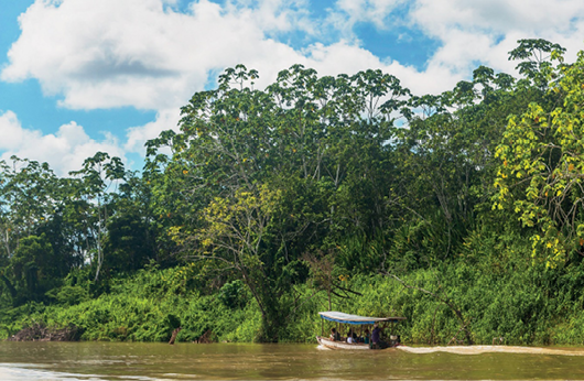 Imagem: Fotografia. Um barco em um rio. Na margem há várias plantas e árvores. Fim da imagem.
