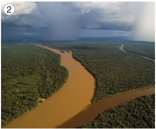 Imagem: Fotografia 2. Vista aérea de um rio sinuoso e bifurcado com várias árvores em volta. Fim da imagem.