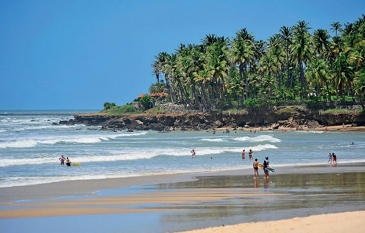 Imagem: Fotografia 1 (ZONA TROPICAL). Pessoas andando na orla da praia. Ao fundo, árvores.  Fim da imagem.