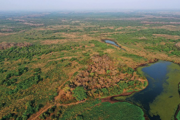 Imagem: Fotografia. Vista aérea de um rio com várias árvores em volta.  Fim da imagem.