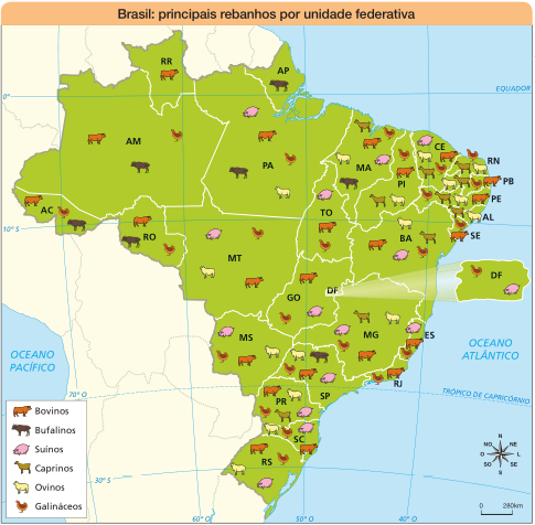 Imagem: Mapa. Brasil: principais rebanhos por unidade federativa.  AC, RO e AM: bovinos, galináceos e bufalinos.  RR: bovinos.  AP: bufalinos. PA: suínos, bovinos, galináceos, bufalinos e ovinos.  MT: suínos, galináceos, ovinos e bovinos.  MA: caprinos, galináceos, bovinos, ovinos, bufalinos e suínos.  PI: galináceos, bovinos, ovinos e caprinos.  CE: suínos, ovinos, caprinos, galináceos e bovinos.  RN: galináceos, caprinos e ovinos.  PB e PE: ovinos, caprinos, galináceos e bovinos.  AL: caprinos e ovinos.  SE: galináceos e bovinos.  BA: bovinos, suínos, caprinos, ovinos e galináceos.  TO: suínos, bovinos e galináceos.  DF: galináceos e suínos.  GO: bovinos, suínos e galináceos.  MS: suínos, galináceos, bovinos e ovinos.  MG: suínos, caprinos, ovinos, galináceos e bovinos.  ES: suínos, bovinos e galináceos.  RJ: bovinos e galináceos.  SP: ovinos, bufalinos, suínos, bovinos e galináceos.  PR: bovinos, ovinos, suínos, caprinos e galináceos.  SC e RS: ovinos, galináceos, suínos e bovinos.  No canto inferior direito, a rosa dos ventos (N, NE, L, SE, S, SO, O, NO) e a escala de 0 a 280 km.  Fim da imagem.