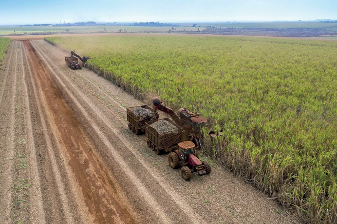 Imagem: Fotografia. Vista aérea de um trator com braço mecânico colhendo cana-de-açúcar ao lado de uma plantação.  Fim da imagem.