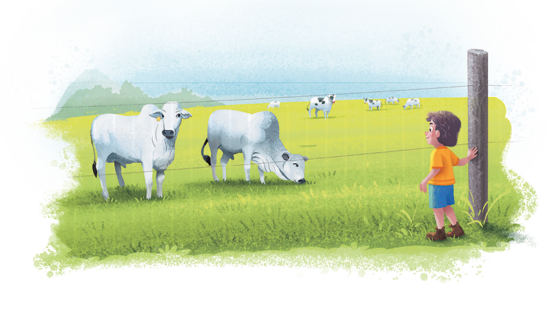 Imagem: Ilustração. Um menino está sorrindo e atrás de uma cerca de arame. Na frente dele há bois e vacas sobre um gramado.  Fim da imagem.