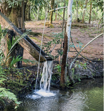 Imagem: Fotografia. Um cano preso em um tronco de árvore em um lago. O cano despeja água em uma estrutura de madeira comprida.  Fim da imagem.