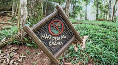 Imagem: Fotografia. Destaque de placa na beira de gramado dizendo “não pise na grama” com círculo e risco em vermelho sobre sapato em gramado. Fim da imagem.